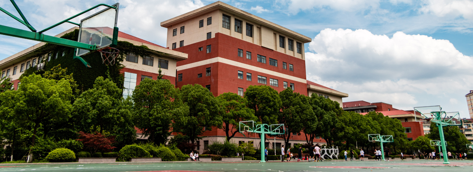 Untitled design(105)